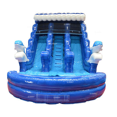 Niños grandes inflables de agua doble diapositiva N deslizamiento con impresión digital y soplador