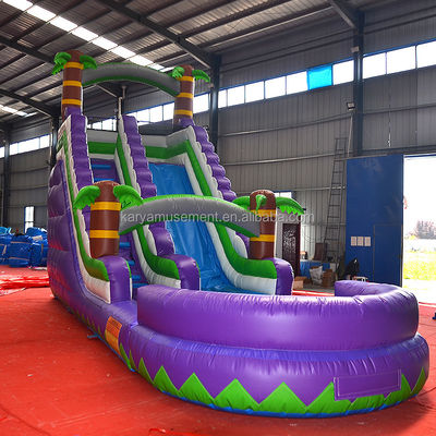 Capacidad de pasajeros de 5 a 10 pasajeros 29 pies tobogán de agua inflable con piscina CE/EN71/EN14960 Aprobado