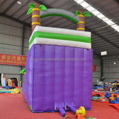 Capacidad de pasajeros de 5 a 10 pasajeros 29 pies tobogán de agua inflable con piscina CE/EN71/EN14960 Aprobado