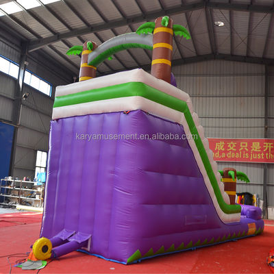 Capacidad de pasajeros de 5 a 10 pasajeros 29 pies tobogán de agua inflable con piscina CE/EN71/EN14960 Aprobado