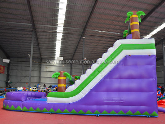 Capacidad de pasajeros de 5 a 10 pasajeros 29 pies tobogán de agua inflable con piscina CE/EN71/EN14960 Aprobado