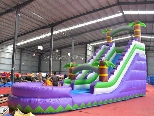 Capacidad de pasajeros de 5 a 10 pasajeros 29 pies tobogán de agua inflable con piscina CE/EN71/EN14960 Aprobado