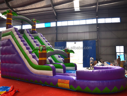 Capacidad de pasajeros de 5 a 10 pasajeros 29 pies tobogán de agua inflable con piscina CE/EN71/EN14960 Aprobado