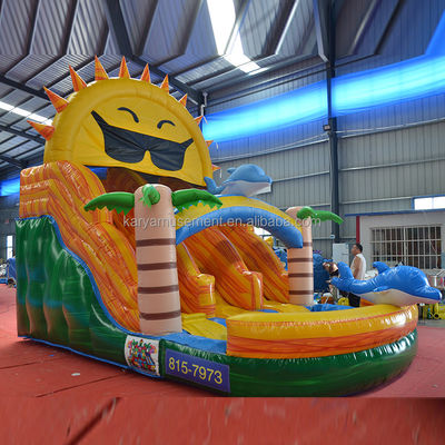 Playa de doble carril N Sol tobogán de agua inflable Popular Diseño de palma tropical