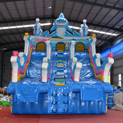 Parque del Océano personalizable castillo inflable doble combinación de diapositivas con protección de impresión
