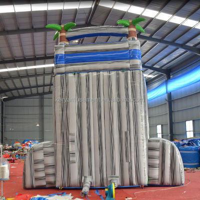 Impresión digital de calidad comercial de lonas de PVC tobogán de agua inflable con piscina para niños