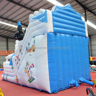 Deslizamiento de agua inflable de color personalizado para la diversión en el lago polar Capacidad máxima 100-500 kg