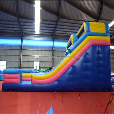 Impresión digital de calidad comercial de PVC Parque acuático tobogán acuático de 2 carriles para adultos y niños
