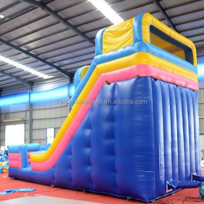 Impresión digital de calidad comercial de PVC Parque acuático tobogán acuático de 2 carriles para adultos y niños