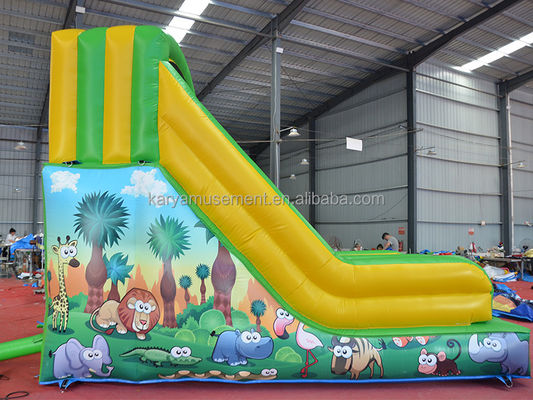 Parque interior Esencial de tamaño pequeño deslizador de rebote inflable con diseño y color verde