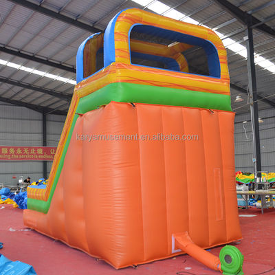 Castillo de alquiler de palmeras Inflable Castillo de salto con piscina de toboganes CE/EN71/EN14960 Certificado