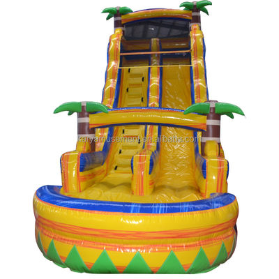 Certificado de color personalizado CE/EN71/EN14960 tobogán de salto en agua inflable con piscina