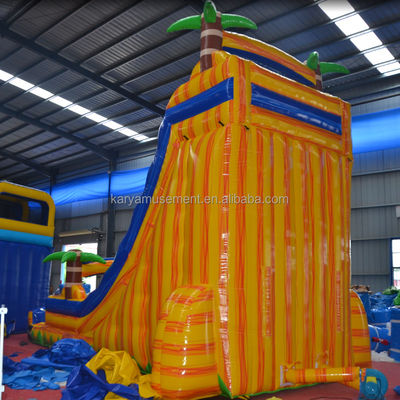 Certificado de color personalizado CE/EN71/EN14960 tobogán de salto en agua inflable con piscina