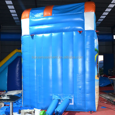 Experimenta la emoción de nuestro tobogán de agua inflable de estilo con envío de piscina en todo el mundo