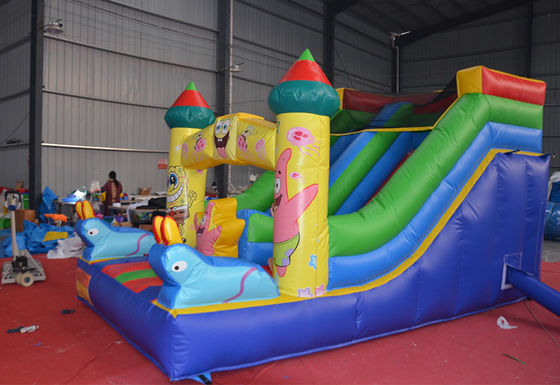 5-10 pasajeros Slide húmedo y seco con diseño de impresión digital