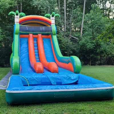 Deslizamiento de agua inflable de grado comercial con doble carril y tema de palma tropical