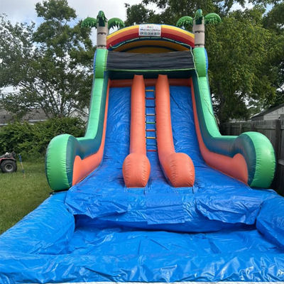 Deslizamiento de agua inflable de grado comercial con doble carril y tema de palma tropical