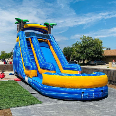 Capacidad máxima 100-500 kg Palma adulta Parque acuático inflable Equipo con piscina