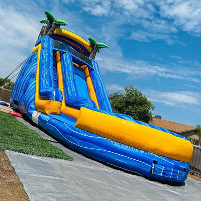 Capacidad máxima 100-500 kg Palma adulta Parque acuático inflable Equipo con piscina
