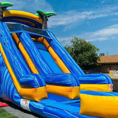 Capacidad máxima 100-500 kg Palma adulta Parque acuático inflable Equipo con piscina