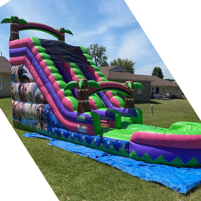 CE/EN71/EN14960 Parque acuático al aire libre de 30 pies, deslizamiento acuático de palmeras tropicales azules para 5 a 10 pasajeros