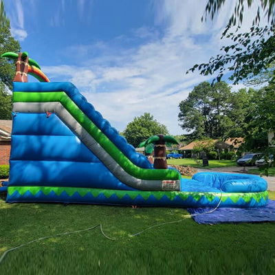 CE/EN71/EN14960 Parque acuático al aire libre de 30 pies, deslizamiento acuático de palmeras tropicales azules para 5 a 10 pasajeros