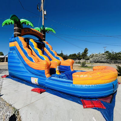 Parque acuático inflable de PVC con tobogán de agua de palma