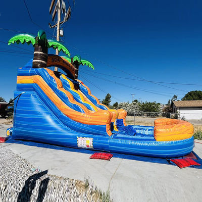 Parque acuático inflable de PVC con tobogán de agua de palma