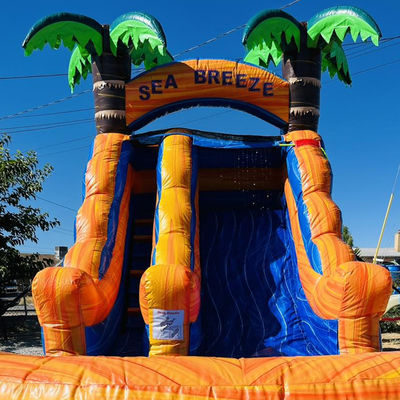 Parque acuático inflable de PVC con tobogán de agua de palma