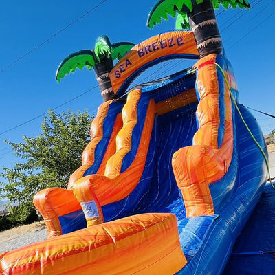 Parque acuático inflable de PVC con tobogán de agua de palma