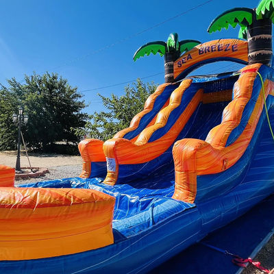 Parque acuático inflable de PVC con tobogán de agua de palma