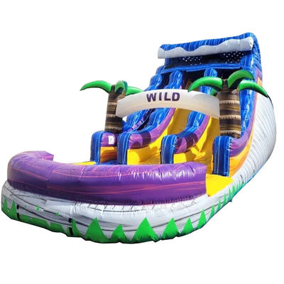 Piscina grande niños salto tobogán fiesta de casa comercial tropical palmeras tobogán acuático con dos tobogán