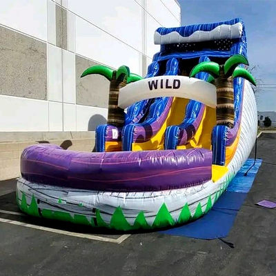 Piscina grande niños salto tobogán fiesta de casa comercial tropical palmeras tobogán acuático con dos tobogán