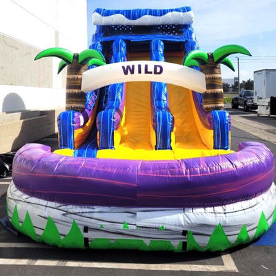 Piscina grande niños salto tobogán fiesta de casa comercial tropical palmeras tobogán acuático con dos tobogán