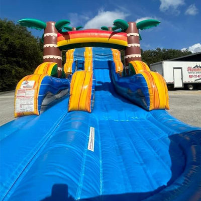 Envío hecho fácil PVC comercial Tropical Palm Tree Water Slide Inflatable con piscina