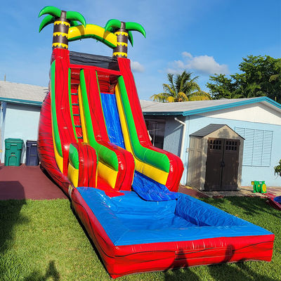 Slide de agua de palmeras tropicales de patio trasero de PVC con piscina desmontable e impresión digital