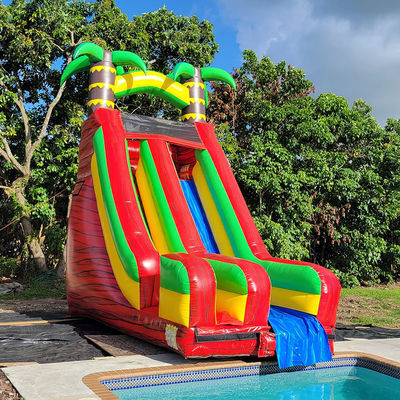 Slide de agua de palmeras tropicales de patio trasero de PVC con piscina desmontable e impresión digital