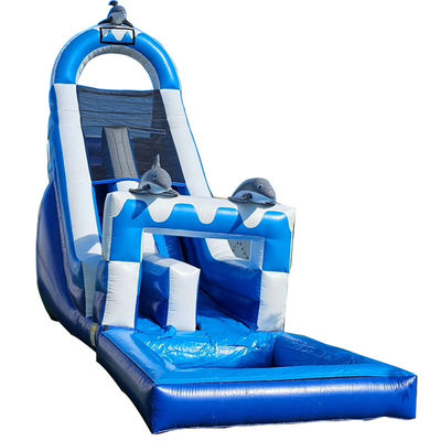 0.55mm PVC Tarpaulin enorme con tema delfín tobogán de agua inflable con piscina desmontable