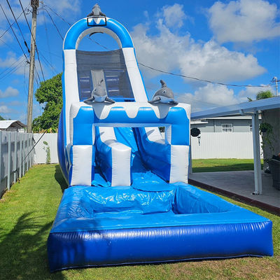 0.55mm PVC Tarpaulin enorme con tema delfín tobogán de agua inflable con piscina desmontable