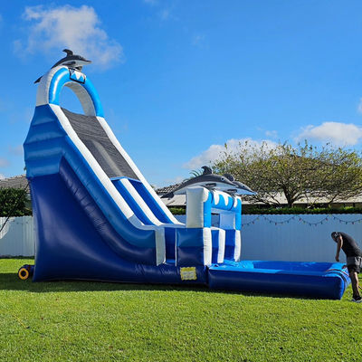 0.55mm PVC Tarpaulin enorme con tema delfín tobogán de agua inflable con piscina desmontable