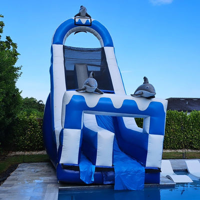 0.55mm PVC Tarpaulin enorme con tema delfín tobogán de agua inflable con piscina desmontable
