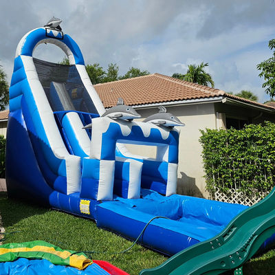 0.55mm PVC Tarpaulin enorme con tema delfín tobogán de agua inflable con piscina desmontable
