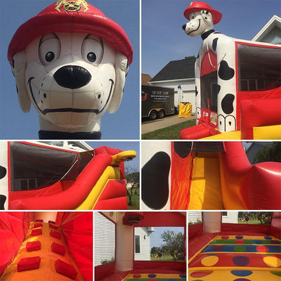Casa de salto para perros dálmatas Castillo inflable Casa de salto con tobogán y accesorios