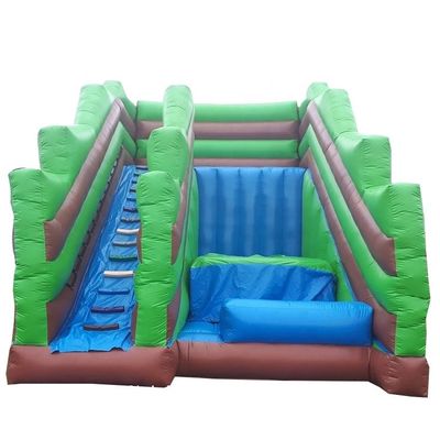 Unisex Jardín familiar inflables juego de diapositivas CE soplador y accesorios de reparación incluidos
