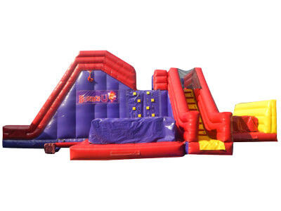 Unisex Jardín familiar inflables juego de diapositivas CE soplador y accesorios de reparación incluidos