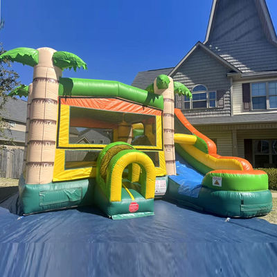 Características PORTABLE Castillo inflable Palma Casa de rebote con tobogán y piscina pequeña