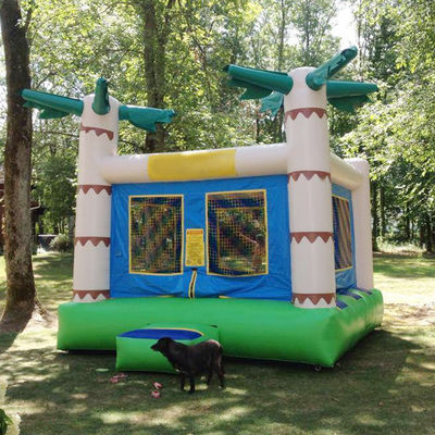 14 Años de edad Color personalizado Árbol de palma tropical Niños rebotadores Castillo de rebotes para alquilar