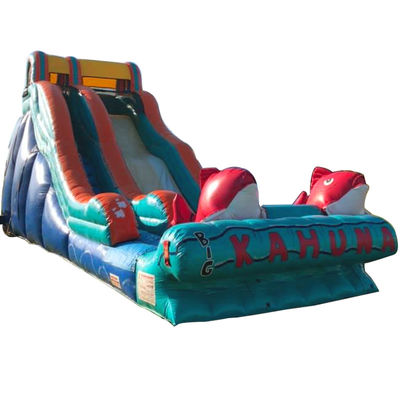 0.55mm PVC Tarpaulin Temática de Carpa Roja Deslizador de agua inflable con deslizamiento ancho y deslizador