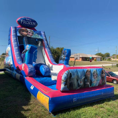 Capacidad máxima 100-500 kg Inflable Temática congelada Casa de rebote tobogán de agua con piscina grande