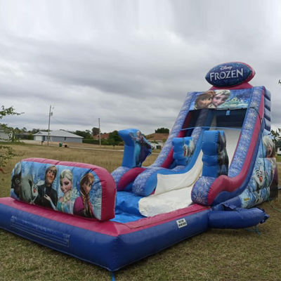 Capacidad máxima 100-500 kg Inflable Temática congelada Casa de rebote tobogán de agua con piscina grande